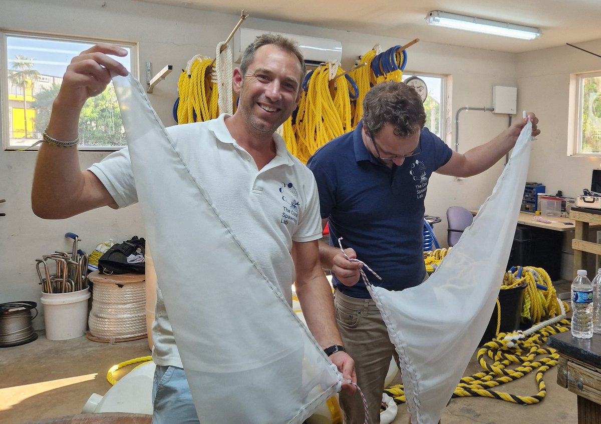 Dr Jamie Craggs (@aquariumcurator) on Twitter photo Professor, father, and award winning lecturer <a href="/DiseaseMatters/">Prof. Michael Sweet</a> adds seamster to his many talents by making coral gamete collection nets.
I'll let you all decide which is better but I think his dejected look gives some idea! <a href="/CoralSpawning/">CoralSpawningLab</a> workshop #Caymans Professor, father, and award winning lecturer <a href="/DiseaseMatters/">Prof. Michael Sweet</a> adds seamster to his many talents by making coral gamete collection nets.
I'll let you all decide which is better but I think his dejected look gives some idea! <a href="/CoralSpawning/">CoralSpawningLab</a> workshop #Caymans