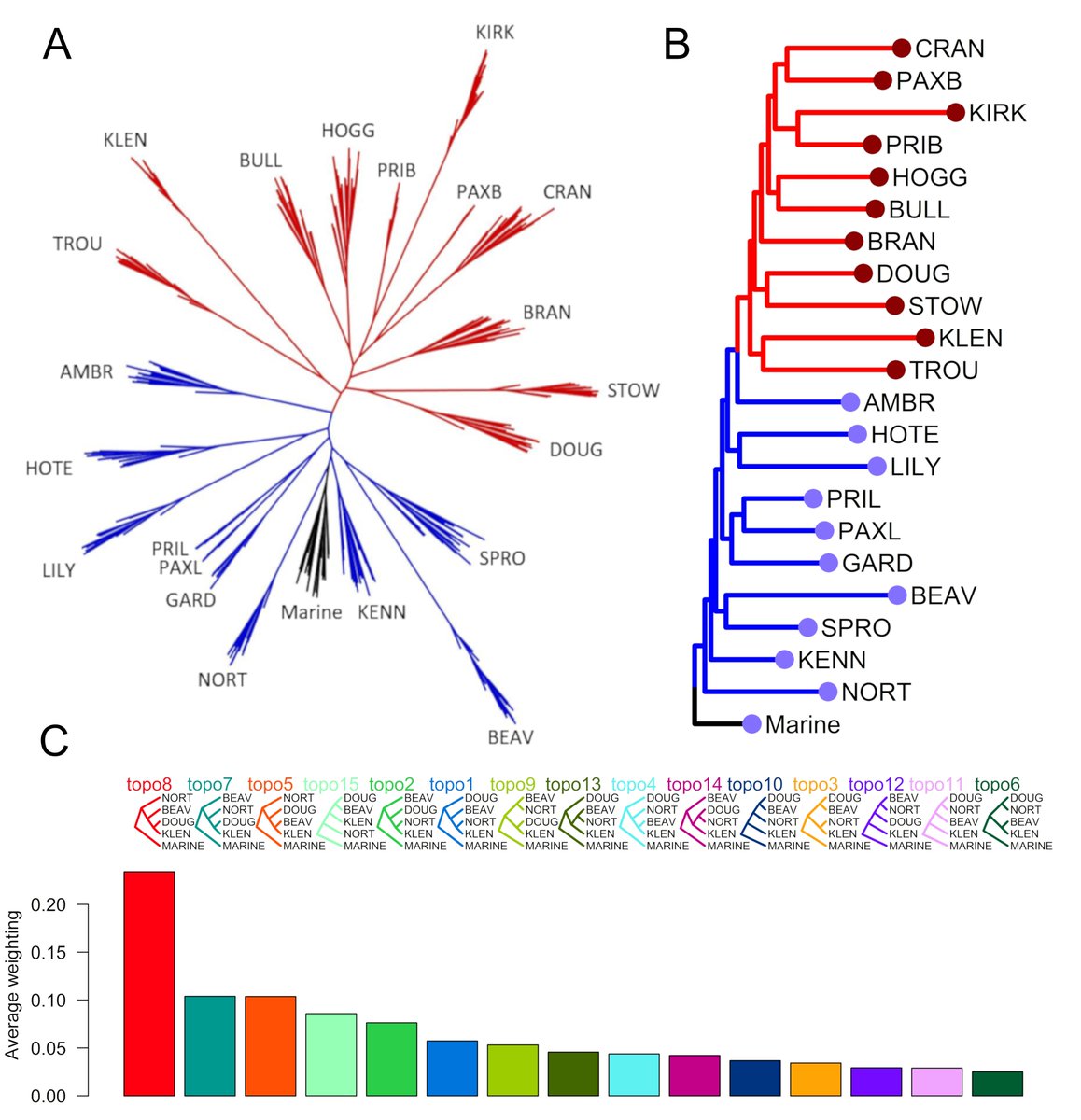 MacColl Stickleback Lab tweet media
