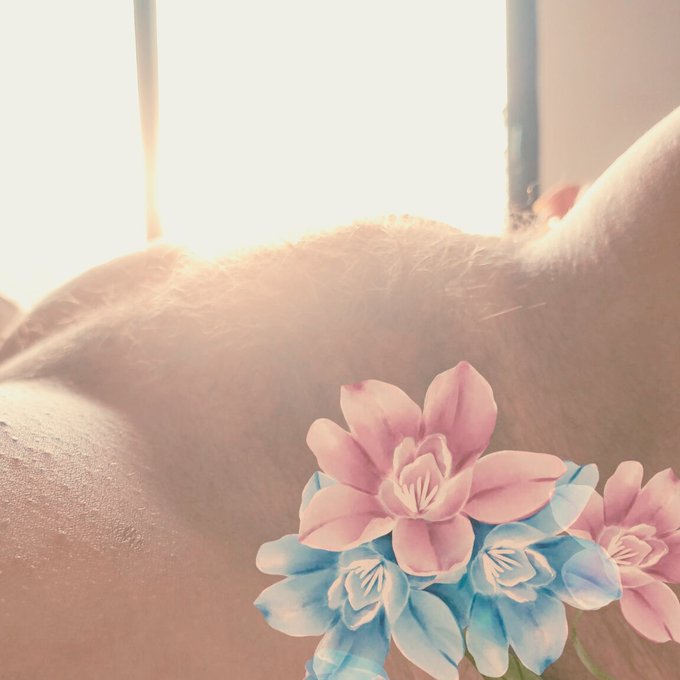 💋Just flowers🌺 and sun☀ for you💖 https://t.co/g7RLNTxhoO