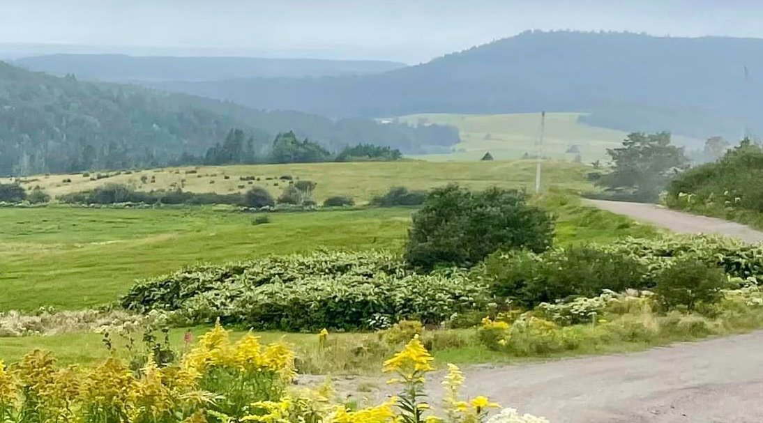 So this was the scene around every corner from the weekends riding.  Km after Km of epic dirt roads,blueberry fields , forest and ocean.  #dualsport #adventuremotorcycle