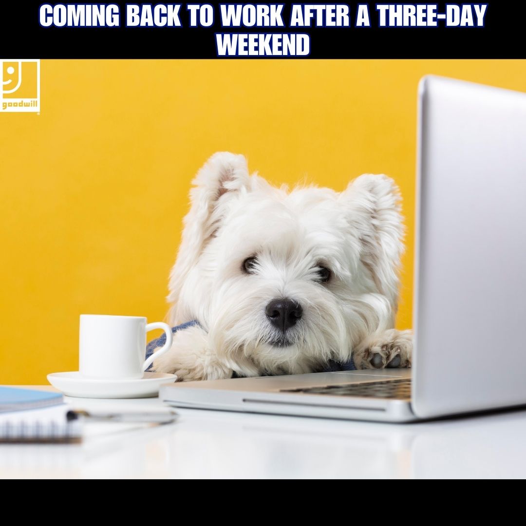 evvgoodwill's tweet photo. #Goodwill #evvgoodwill #vacation https://t.co/RkxikglJJB