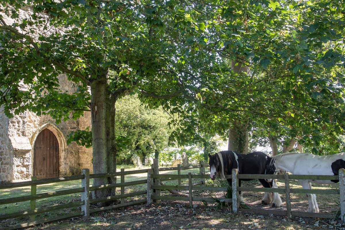 Romney Marsh Historic Churches Trust tweet media