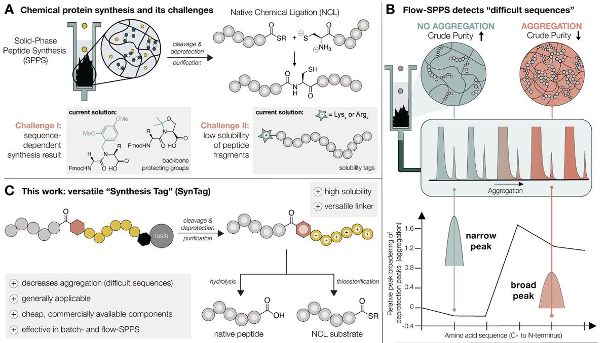 Nina Hartrampf tweet media
