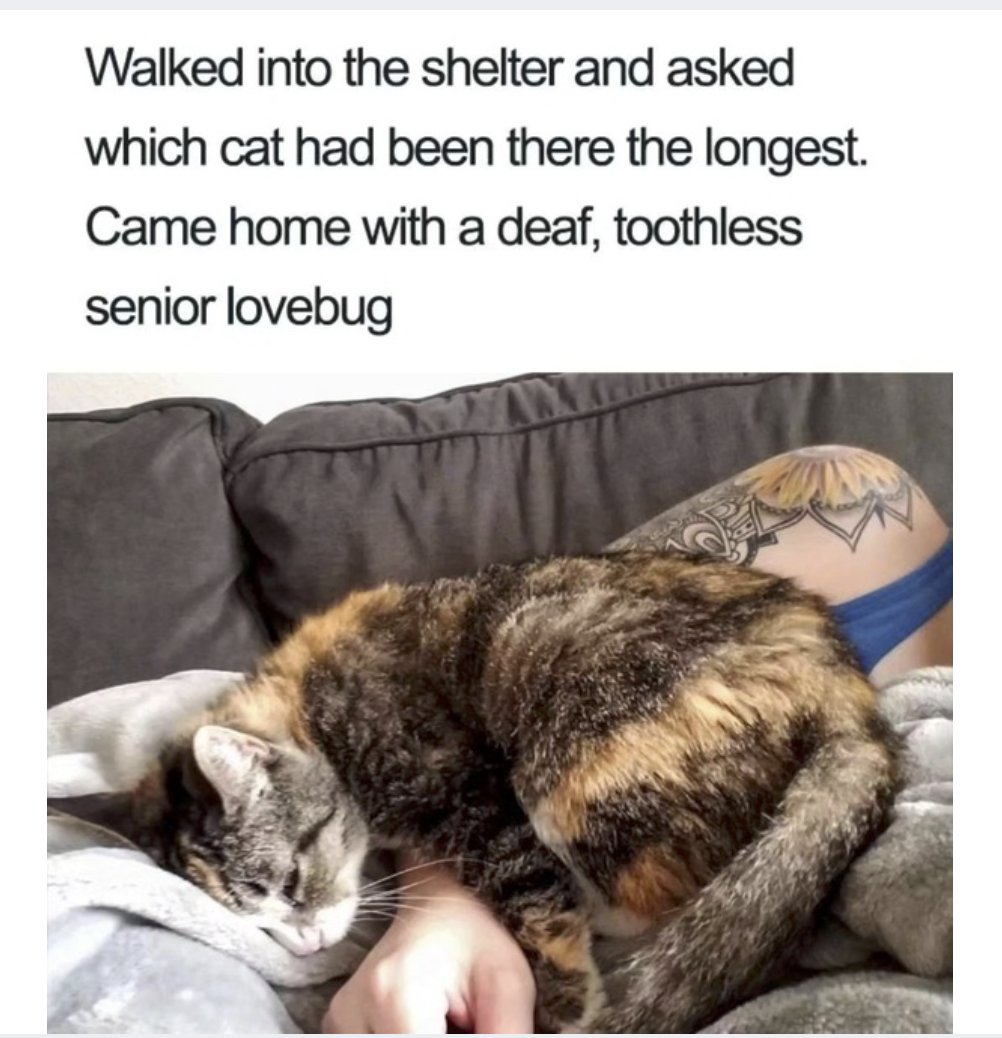 RespectfulMemes's tweet photo. https://t.co/OCw5VjMIpl