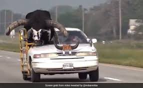 Episode 6 out of context…
Available today at 7pm!🚨
#BedlamPod