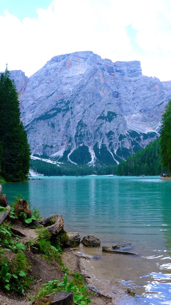 Pedro Marques ⚙︎ tweet media