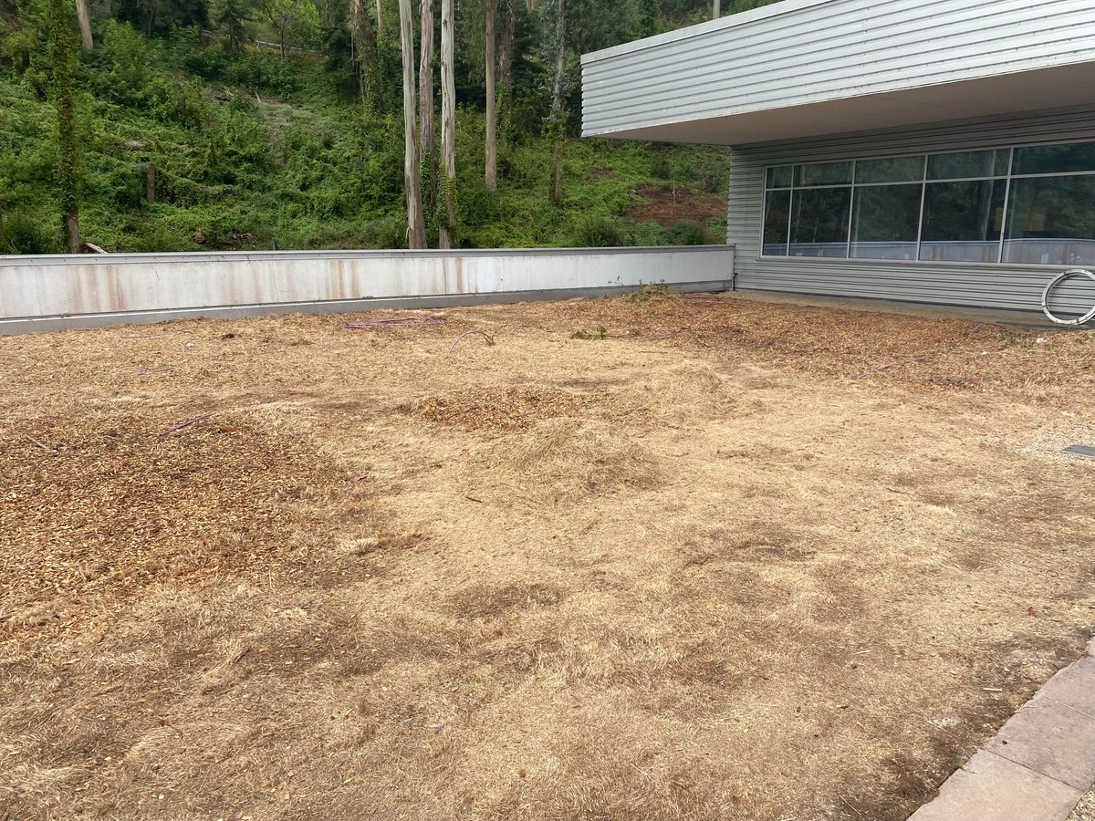 ucsf_facilities's tweet photo. Facilities Services is removing the no-mow fescue grass (shown below) on the roof at the Eli and Edythe Broad Center of Regeneration Medicine and Stem Cell Research (IRM Building) and replacing it with drought tolerant and native plants. https://t.co/5gayfUwyLC