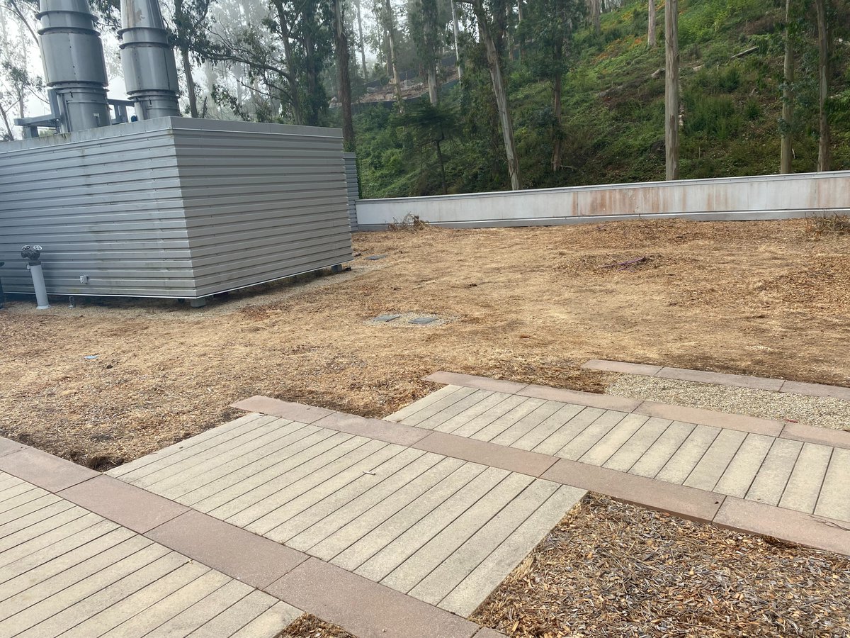ucsf_facilities's tweet photo. Facilities Services is removing the no-mow fescue grass (shown below) on the roof at the Eli and Edythe Broad Center of Regeneration Medicine and Stem Cell Research (IRM Building) and replacing it with drought tolerant and native plants. https://t.co/5gayfUwyLC