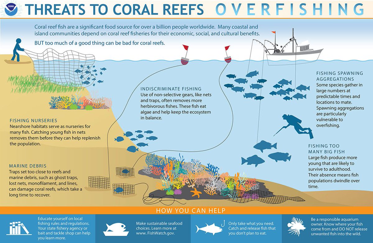 We invite you to read this infographic on threats to coral reefs and how you can help by #NOAA.  #MARFund, #MesoamericanReef