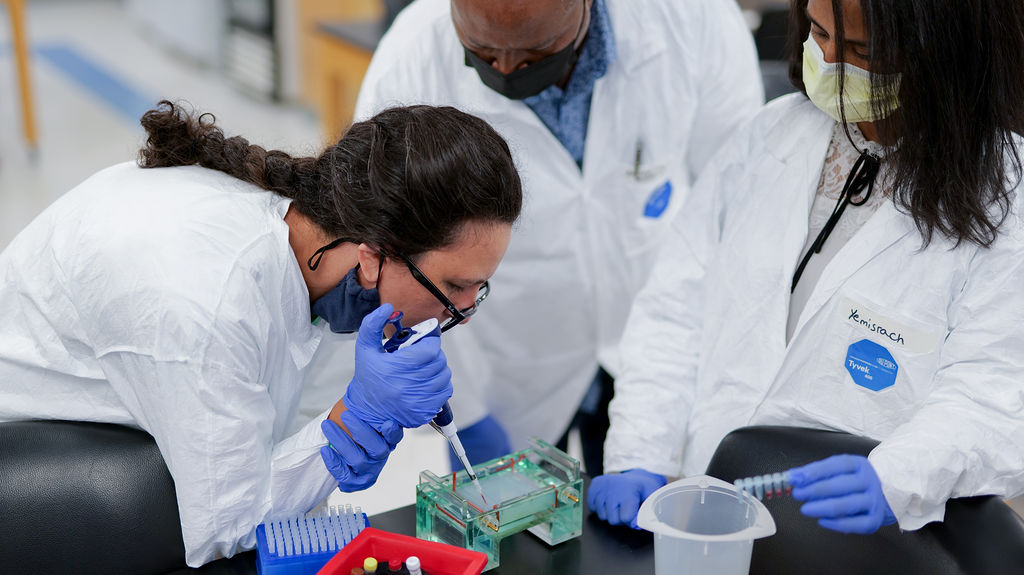 Quincy College tweet media