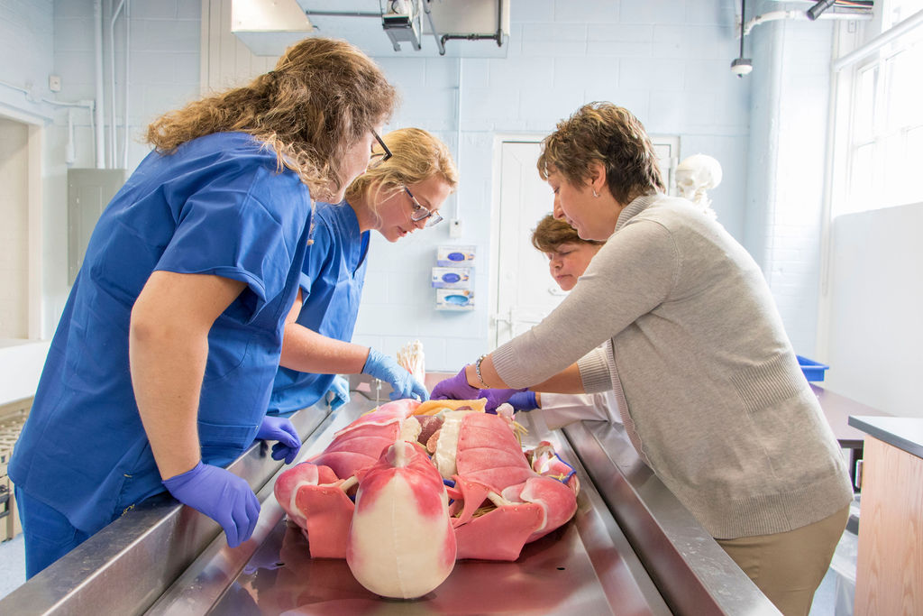 Quincy College tweet media