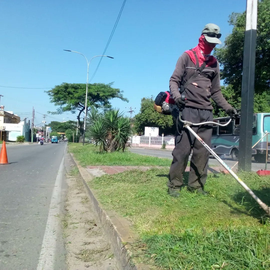 Instit12Febrero's tweet photo. #05sep hoy nos encontramos desplegado en:
 📍Av. Francisco de Miranda.
📍 Plaza Italia.

Realizando labores de mantenimiento y desmalezado de áreas verde e isla central.

#RibasVuelveASonreir
#GobernamosParaServir https://t.co/ePO6JI3oub