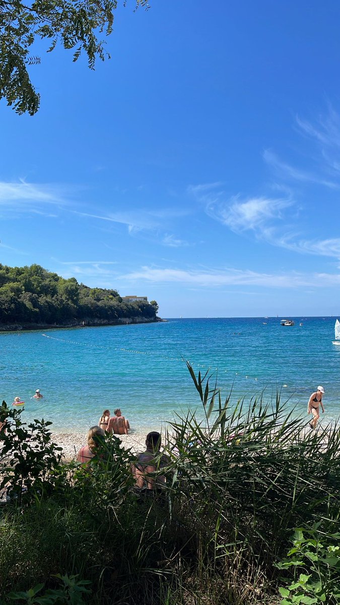 _Medzo_'s tweet image. Je suis en Croatie depuis une semaine et à part sa gastronomie qui se résume à du jambon fumé et du poisson et bah le temps et les baignades avec les poissons sont géniales 🤩👌🏼