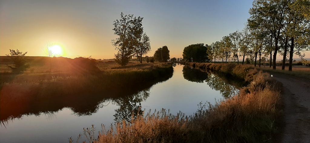 Pascalsano's tweet photo. Sunrise along the Canal de Castilla on the #Camino near Frómista. #caminodesantiago #caminofrances https://t.co/b5A65PPLR1
