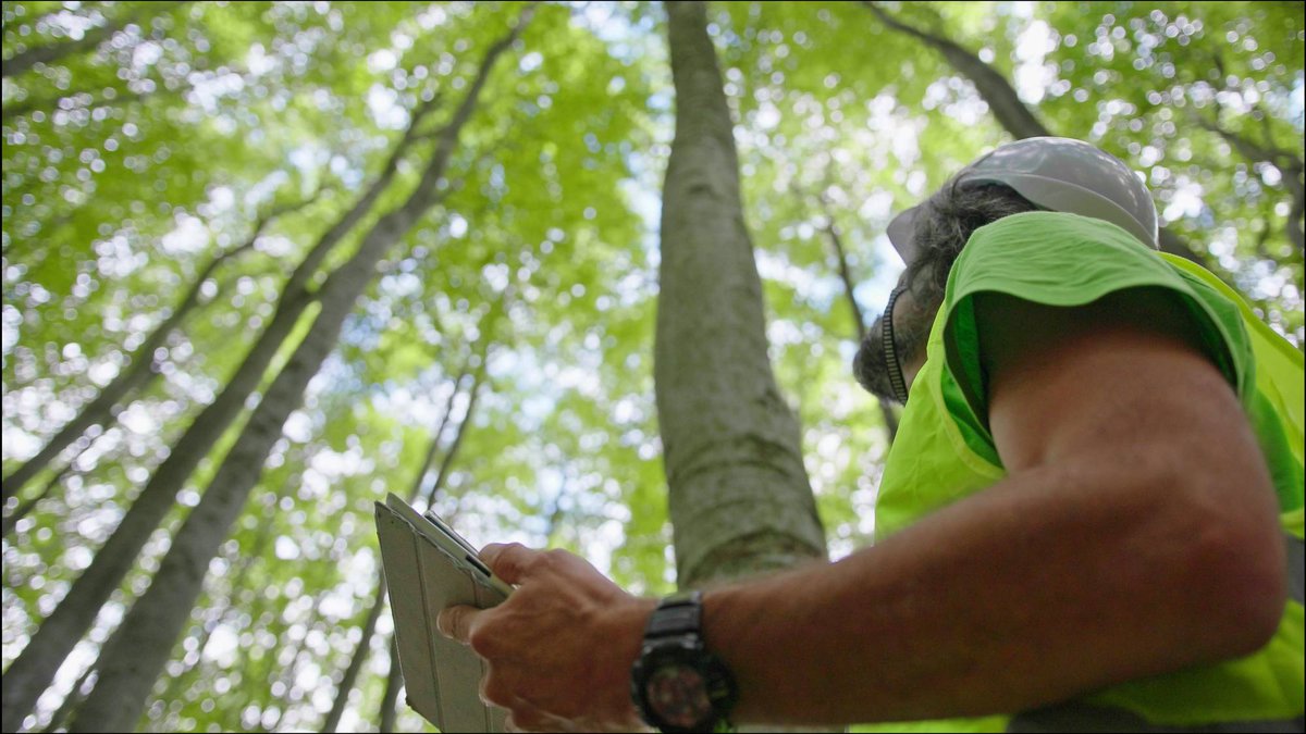ACCANews's tweet photo. IPSASB is calling on academics to contribute to its research forum in June 2024. ACCA is supporting sustainability reporting focused research with a $2,000 grant available see https://t.co/uf3SxYk0ea #IPSASB https://t.co/i3m6bsEwAr