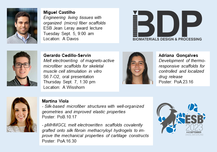 Miguel Castilho tweet media