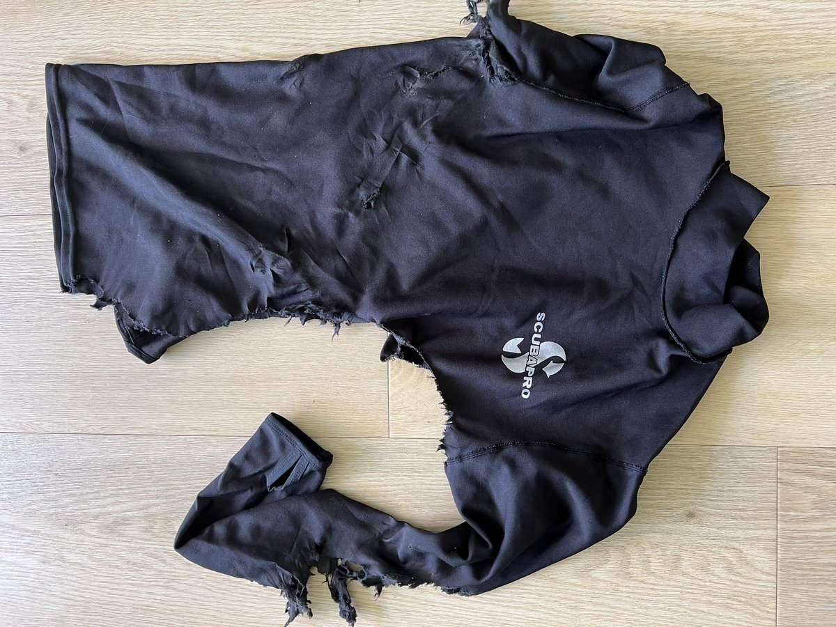 Bagageafhandeling van <a href="/transavia/">transavia</a> op <a href="/ehvairport/">Eindhoven Airport</a>. 

Volgende week mogen we weer, zin in.  

#vliegen #luchthaven