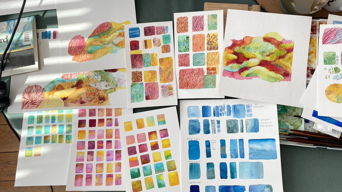 Zoë's Studio tweet media