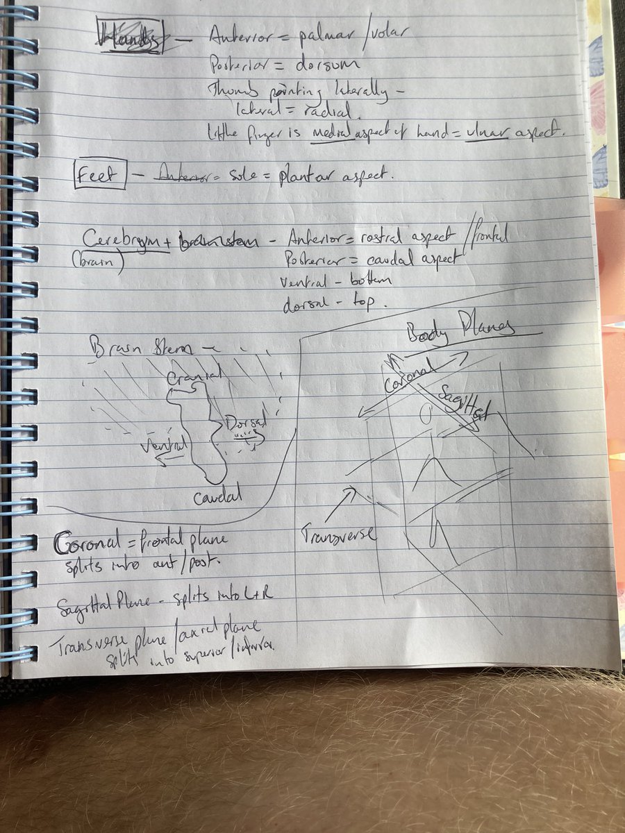 Hope everyone is well, happy and loving life! I hoped to get a stream in later to have a catch up and chill with you guys but currently doing some uni prep and not sure if I’ll manage it! Here’s a pic of my mad scribblings… this course is gonna destroy me 😂