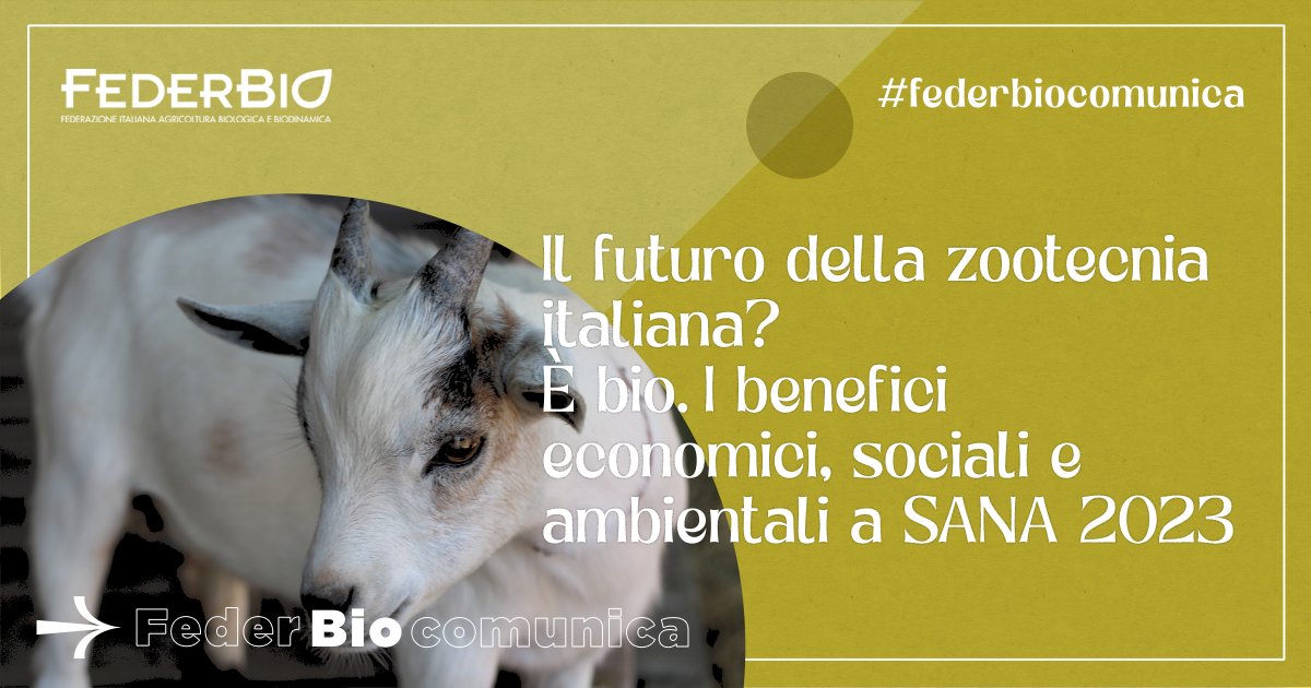 FederBio's tweet photo. #FederBioComunica 📣🟢
Il futuro della #zootecnia italiana? È #biologico. I benefici economici, sociali e ambientali raccontati a @sanafiera 2023 da #FederBio. #SANA2023

Leggi il comunicato stampa completo 📰👇🏼
https://t.co/rAQQsTRrkQ https://t.co/84tz7aL1n9