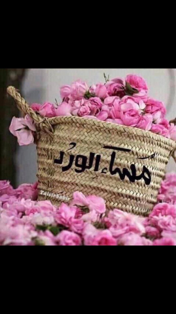 KuwaitK77823978's tweet photo. مساءكم ورد 🌸 https://t.co/b7TAedgkZU