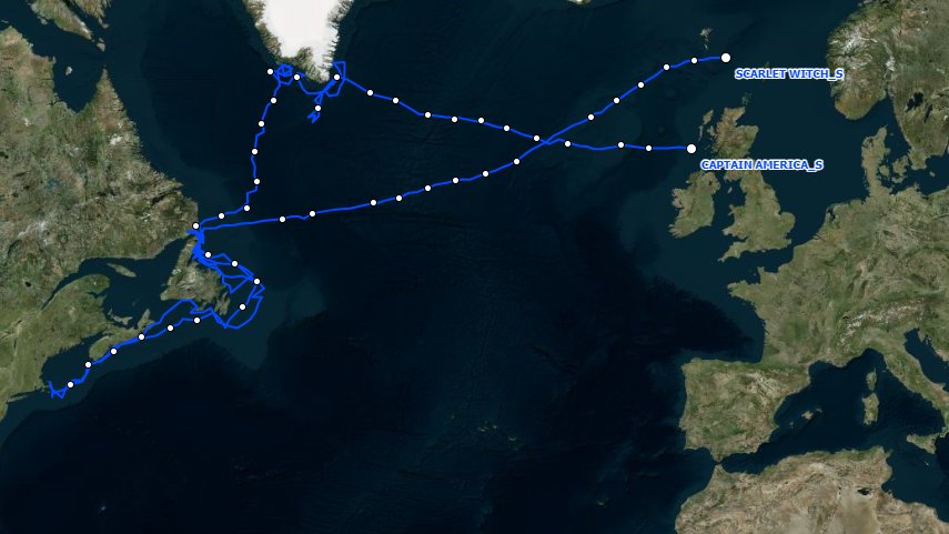 Sooty #shearwaters #CaptainAmerica &amp; Scarlet Witch have made it across the Atlantic! Excited to see where they go next! #trackseabirds #birds #birdwatching #SCIENCE #research #conservation #BirdsOfTwitter