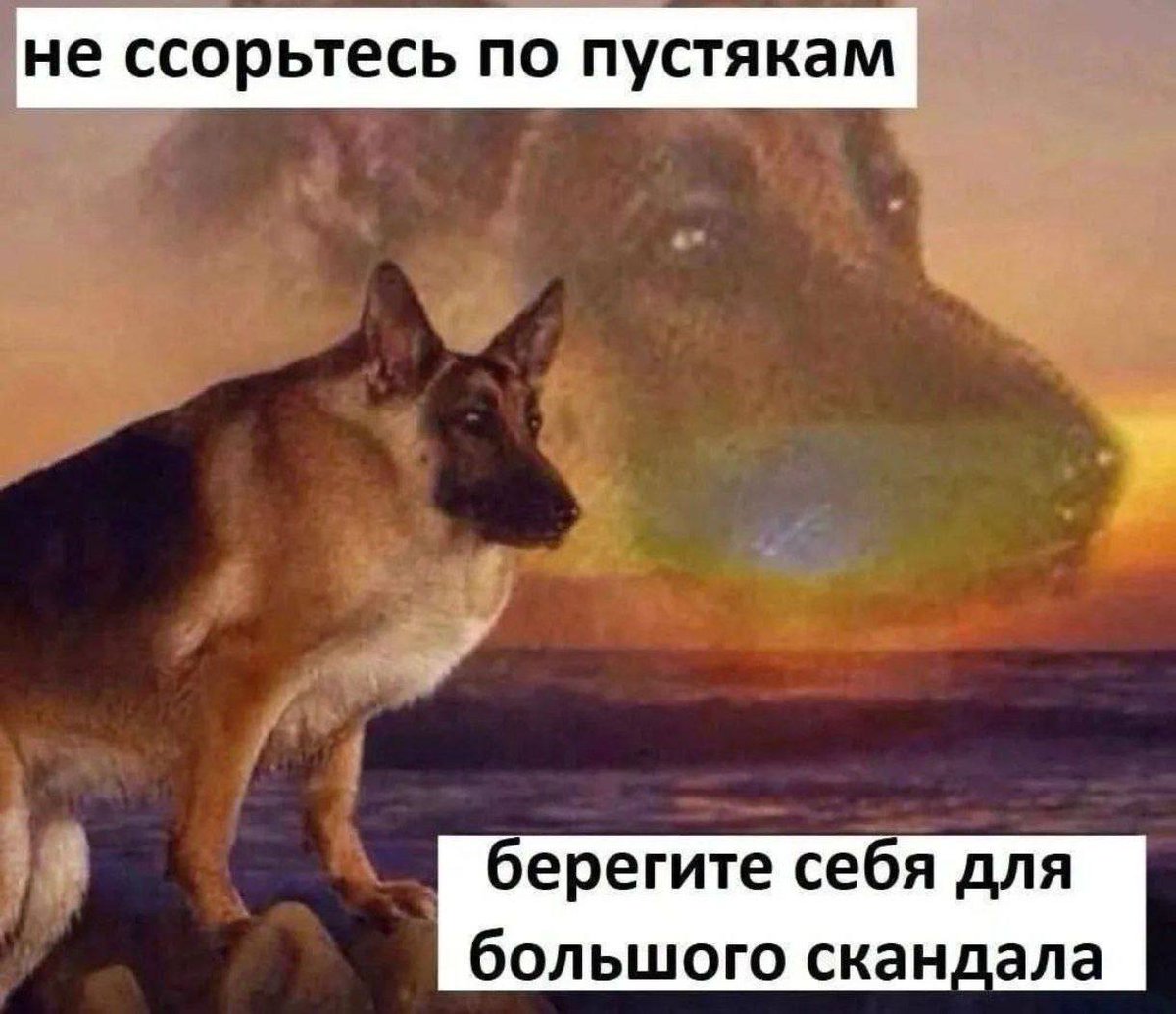 daria_aske's tweet photo. https://t.co/PM9ScI4tZV