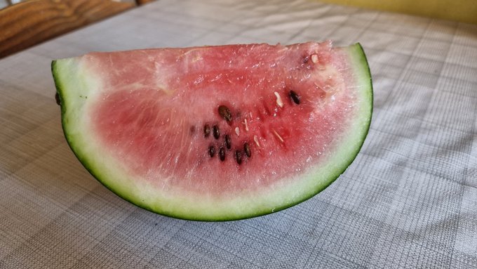 Jak na polskie warunki bez szklarni to wyszło ok👌 https://t.co/X9CJ1Aswor