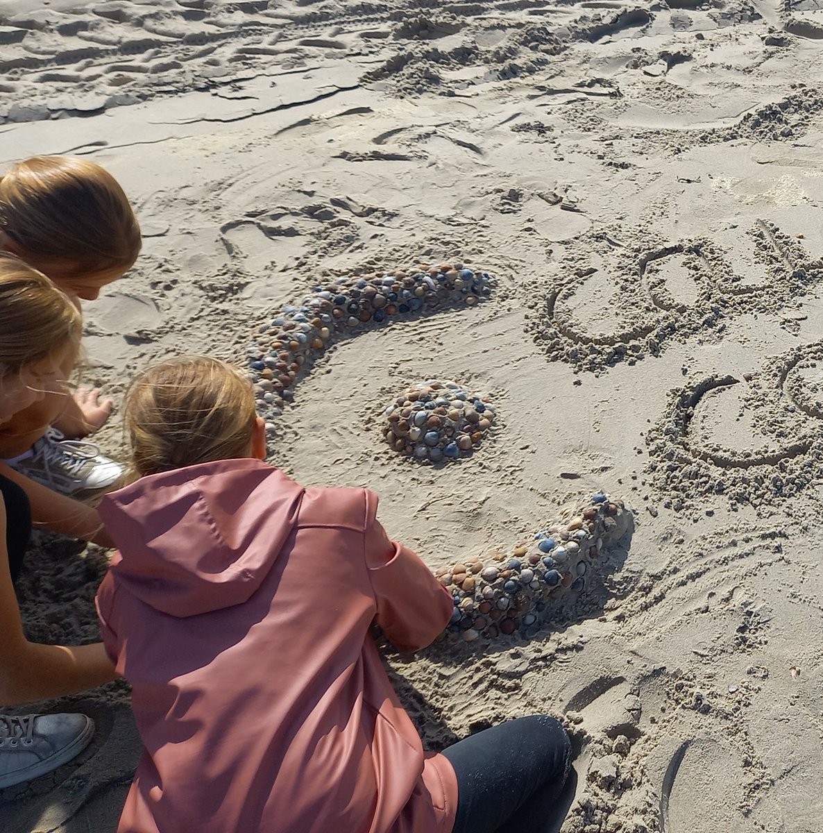 Calvijn College tweet media