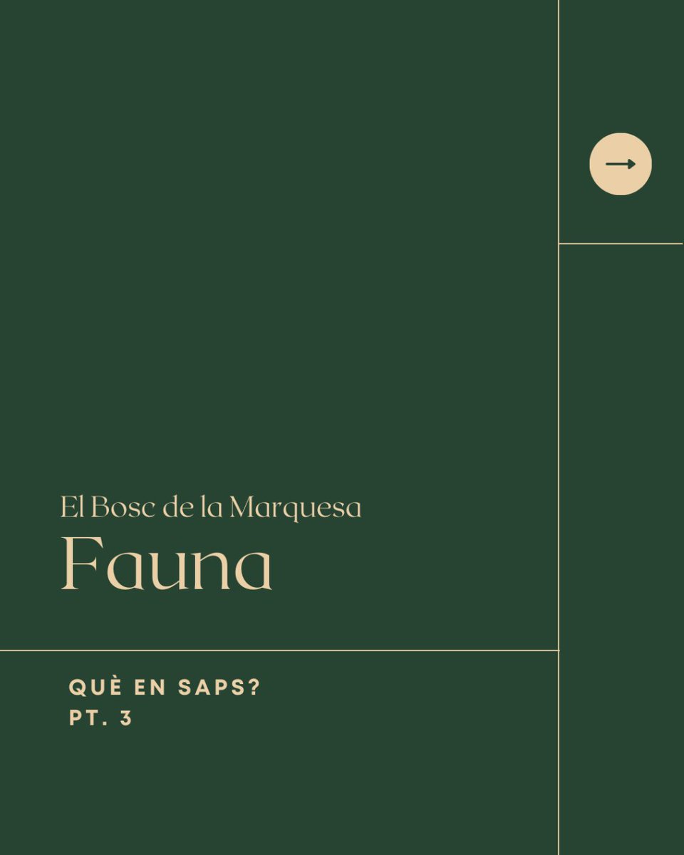 Fundación Bosc de la Marquesa tweet media