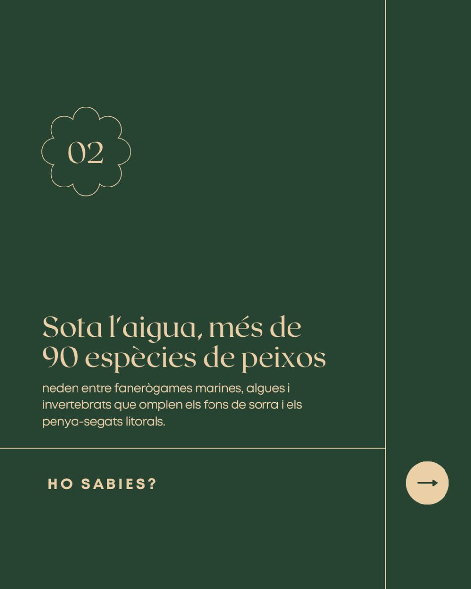 Fundación Bosc de la Marquesa tweet media