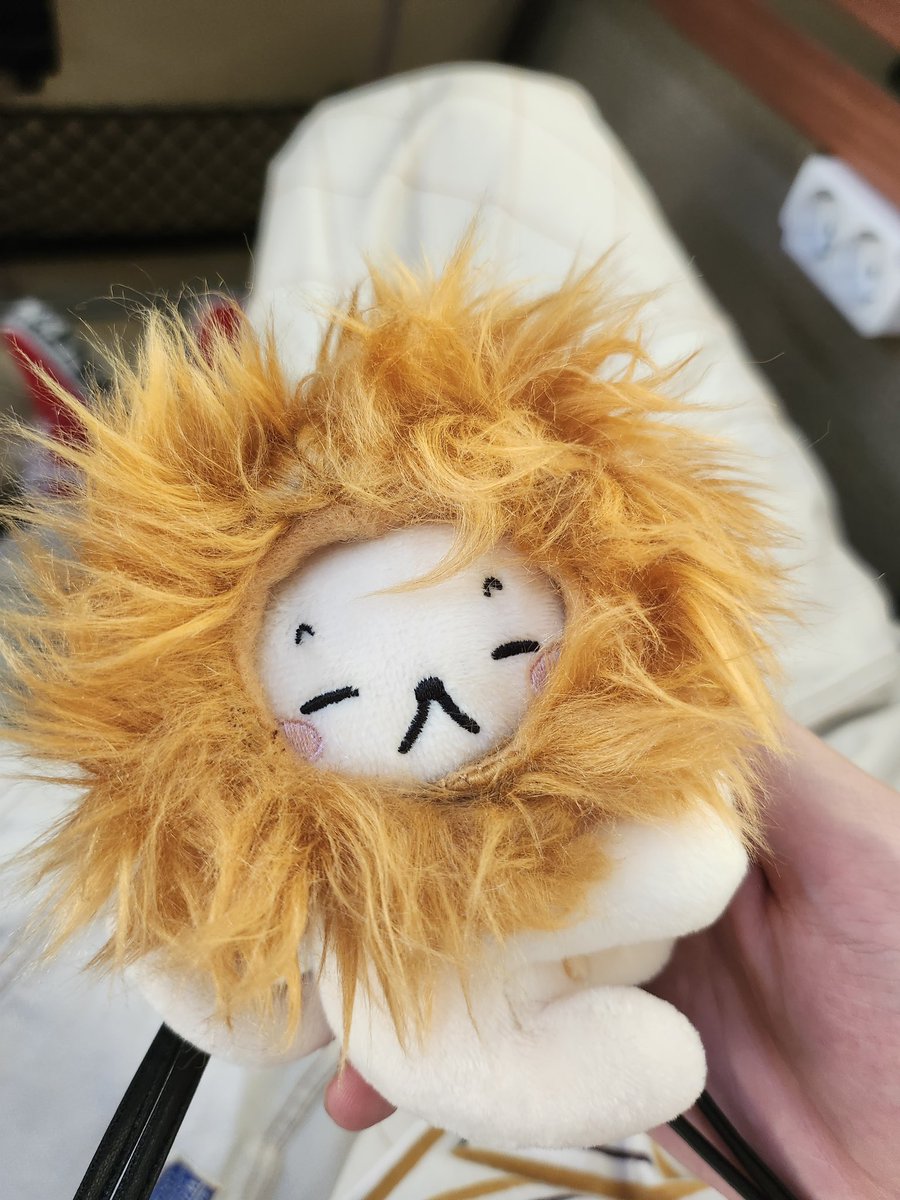 teuverse_id's tweet photo. [TRANS] 🦁
050923

😴😴😴😴😴

@treasuremembers https://t.co/PQMu7lPi46