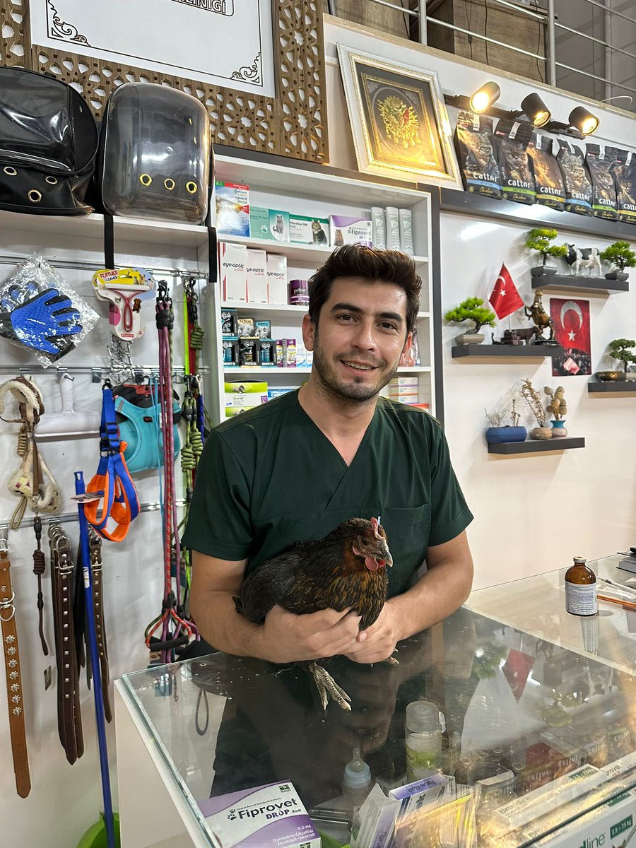 Davuğa pansuman yapıldı✅