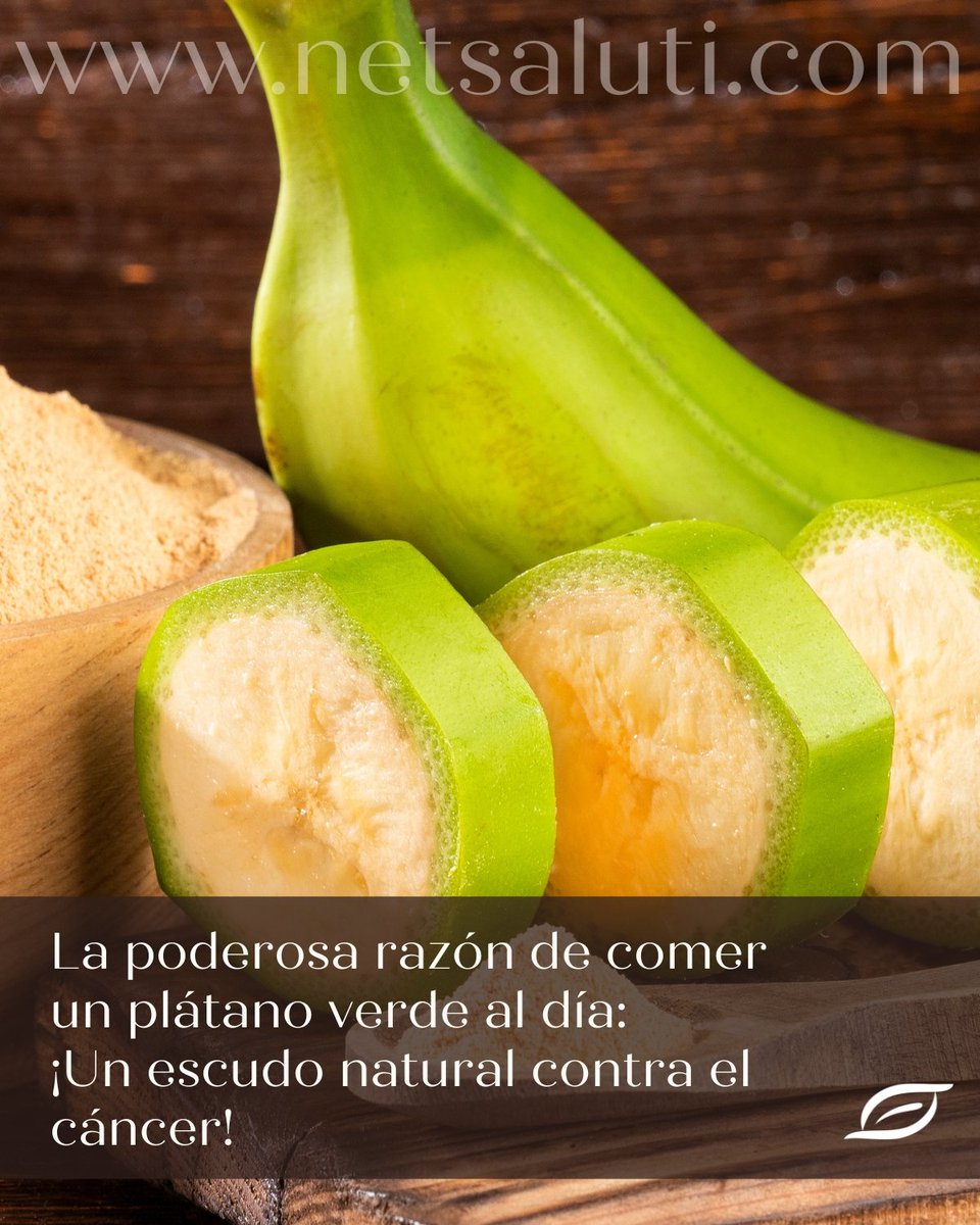 netsaluti's tweet photo. La importancia de una dieta equilibrada 🍌💪 #PlátanoSaludable #PrevenciónDelCáncer

https://t.co/NDhByrcv27 https://t.co/07Qh3m80I0