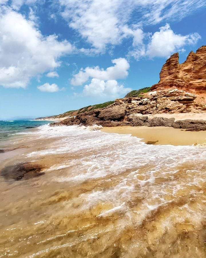 Tranquillo tweet media