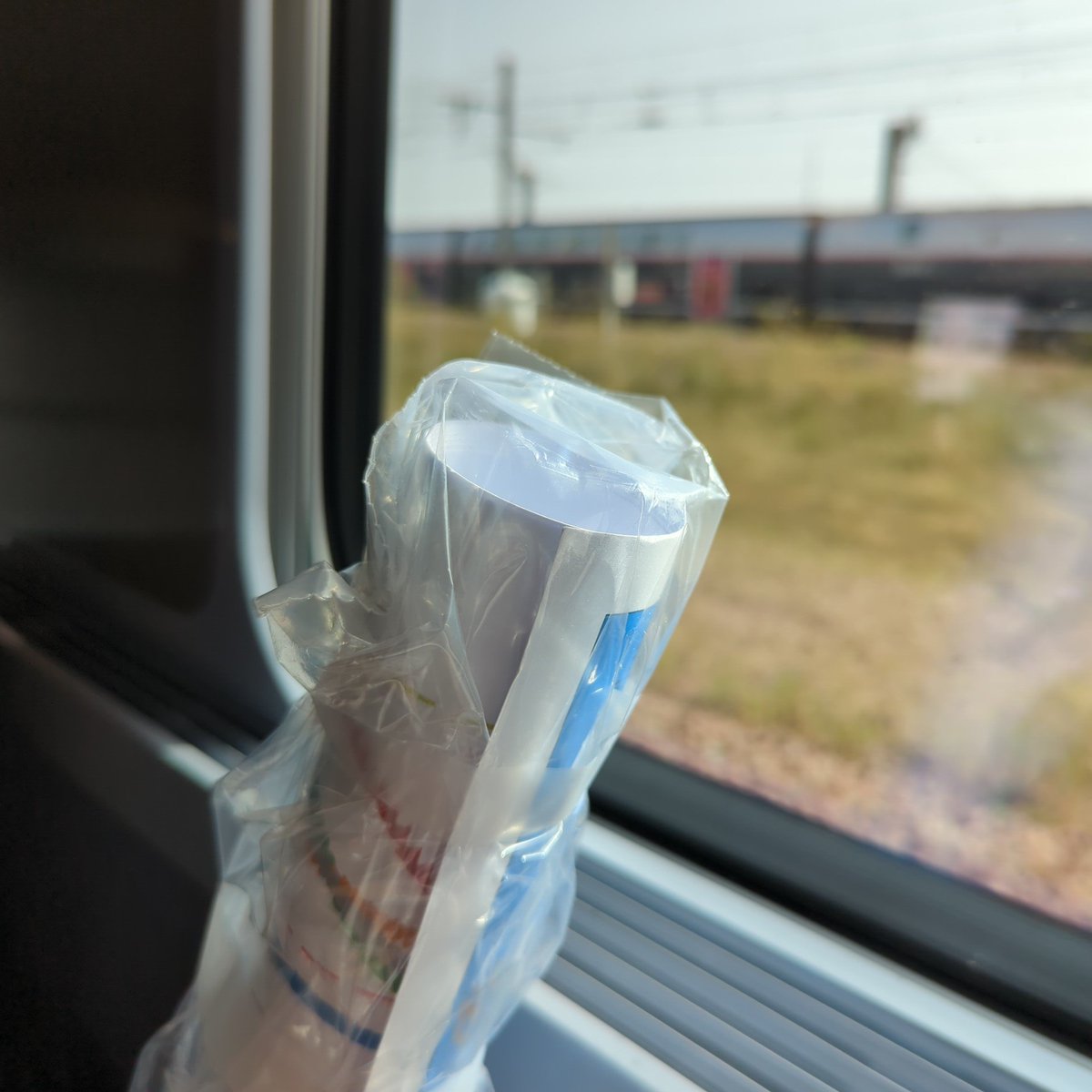 FeniesPierrick's tweet photo. On the way to the 2nd international workshop on #GDGTs in #Zurich ! https://t.co/oV7d4MfAjS