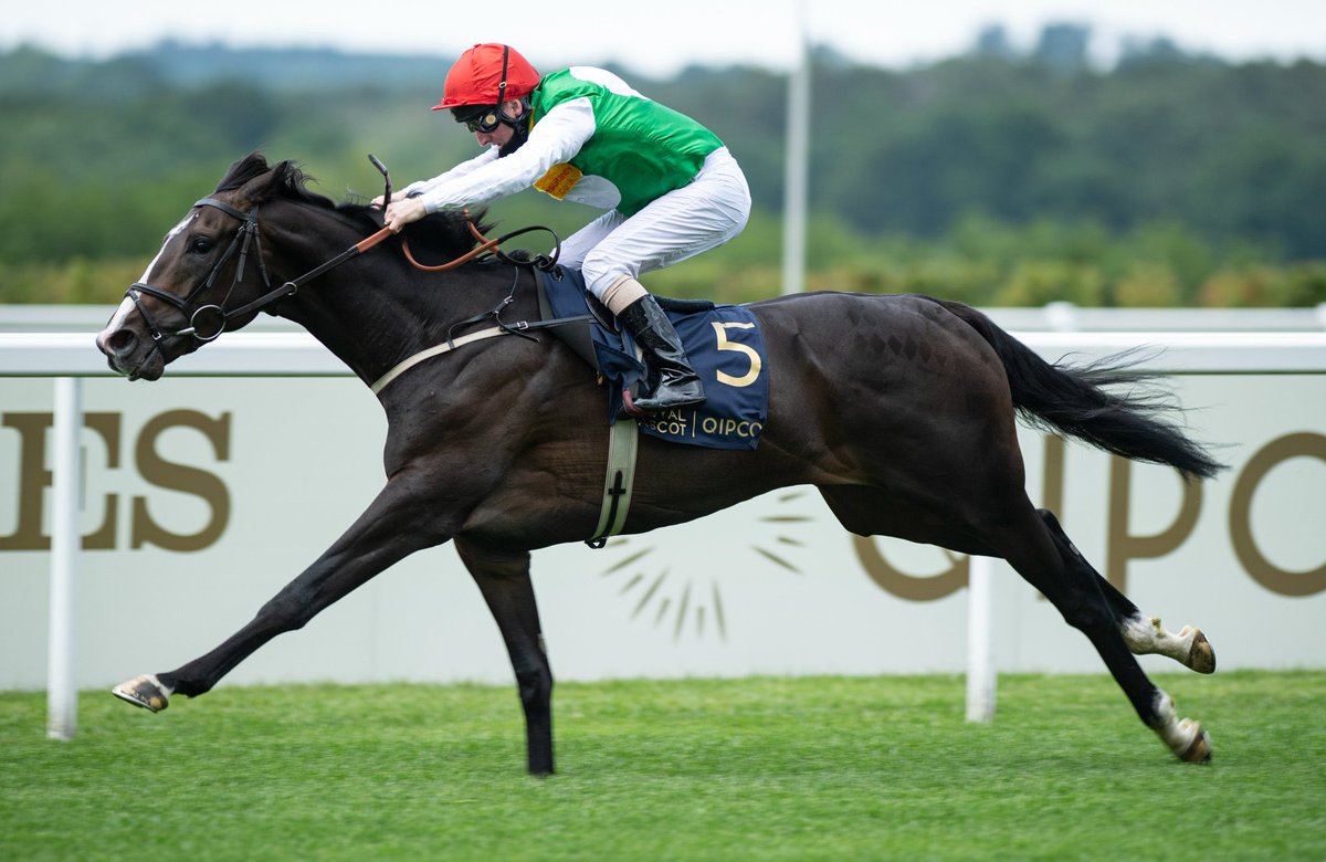 RacingBreaks's tweet photo. Happy retirement #Pyledriver! We’ll miss you on the racecourse. https://t.co/S6f8EooImU