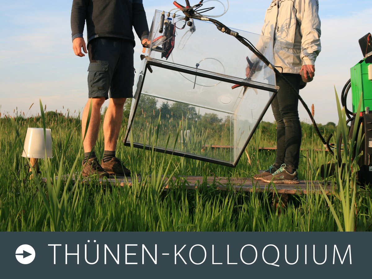 Wenig Fläche, großer Einfluss: Welche Auswirkungen entwässerte, landwirtschaftlich genutzte #Moorböden auf das #Klima haben und wie man sie klimafreundlicher bewirtschaften kann  – das ist Thema im Thünen-Kolloquium am 
📅 07.09.2023, 13-14 Uhr
thuenen.de/de/newsroom/ve…
#Moore #THG