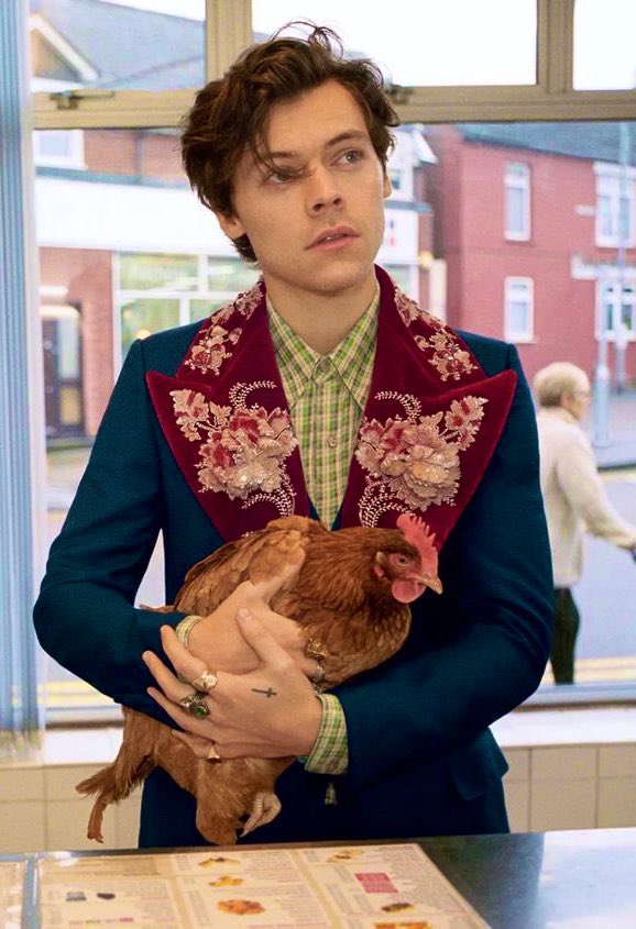 hourlyharrys's tweet photo. https://t.co/fAFLZdYWku