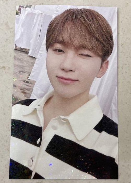 뿌🐻 tweet media