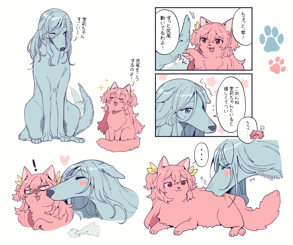 💧🍑🐶🐱