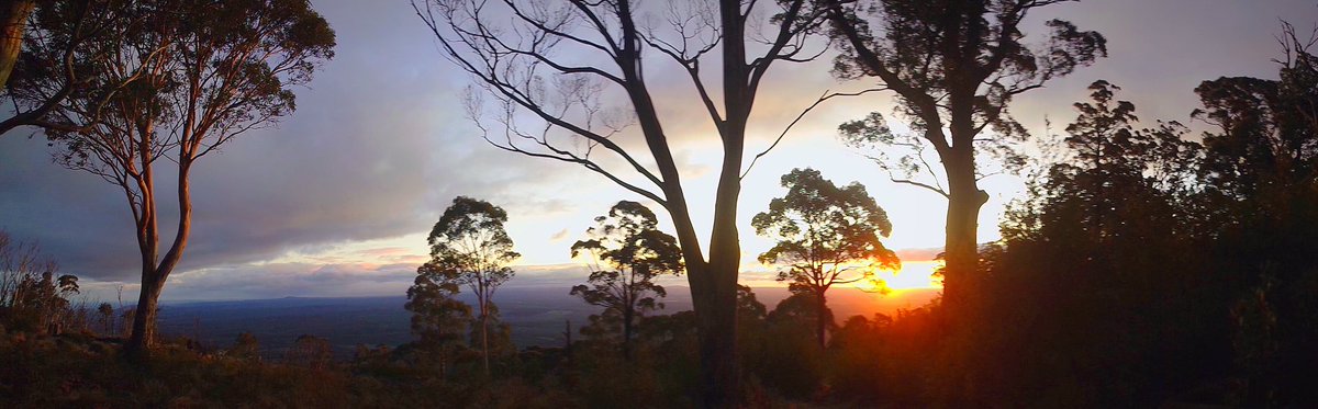 BekiTara92's tweet photo. Hiking around #mtmacedon is where I’m at my happiest 💜 https://t.co/lOqFQ0zVFf