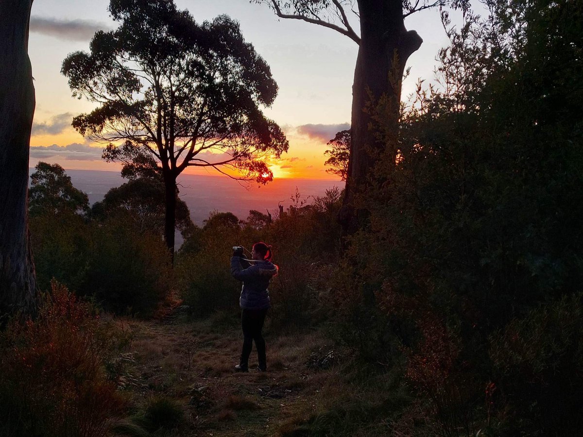 BekiTara92's tweet photo. Hiking around #mtmacedon is where I’m at my happiest 💜 https://t.co/lOqFQ0zVFf