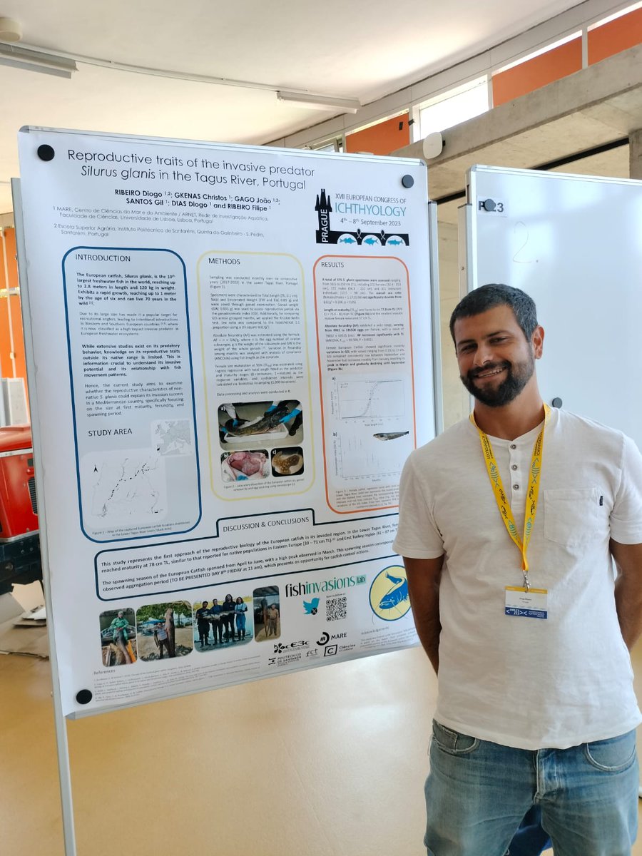 FishInvasionLab's tweet image. Come by and see our poster at #eci2023 and grab Diogo Ribeiro to discuss our work on the reproductive traits of the European catfish #silurusglanis in Portugal. Work done under the #MEGAPREDATOR project. @MARE_centre