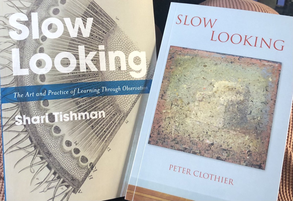 TannyMcG's tweet photo. #InflightReading #SlowLooking #InkAndIdeas #TextCousins https://t.co/G0l5KNR8fp
