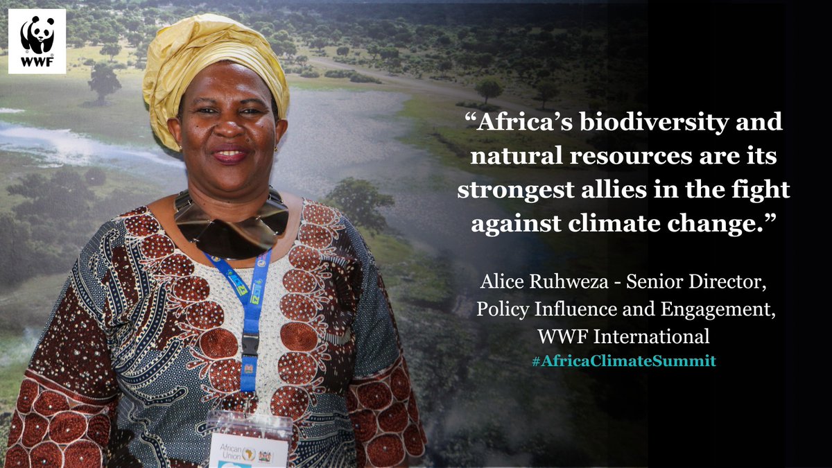 WWF_Kenya's tweet photo. "Africa's biodiversity and natural resources are its strongest allies in the fight against climate change."

Alice Ruhweza (@aruhweza) - Senior Director, Policy Influence and Engagement, @WWF 

#Recap #SideEvent: Innovative Governance Model to Effect a Just Transition to a Low Carbon Resilient Economy in African Countries.

#AfricaClimateSummit #ACS2023