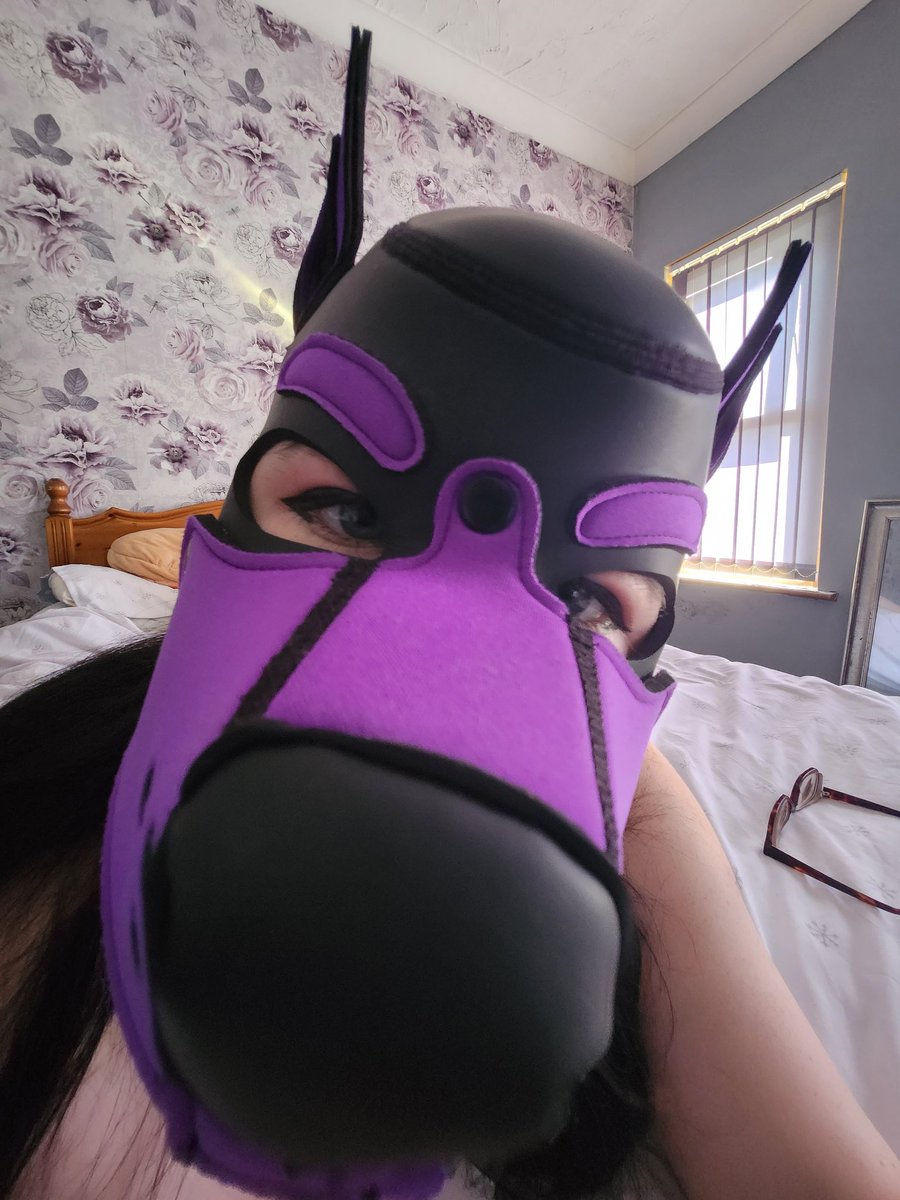 LittleFoxxKitt's tweet photo. Bork? https://t.co/n9wCFIdhXc