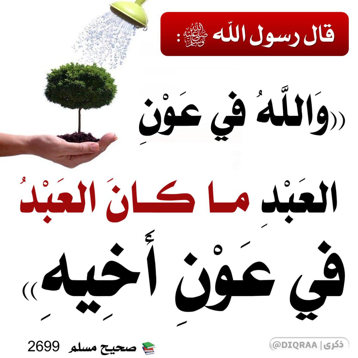 🥀🌷🌲🌹بناتي حياتي🌹🌷🌲🥀 tweet media