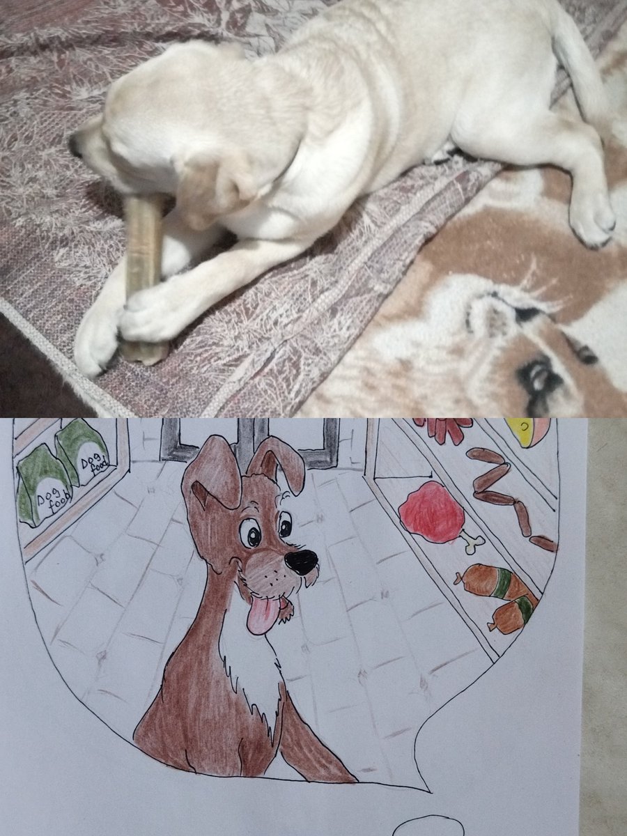MajaStat71's tweet photo. Our dog loves cartilaginous bones. But who will treat Jack to such a delicious treat? #unique_collection_nft #NFT #pets #help_for _shelters #charity https://t.co/tNxgbtMqWx https://t.co/PvV2QA8es0