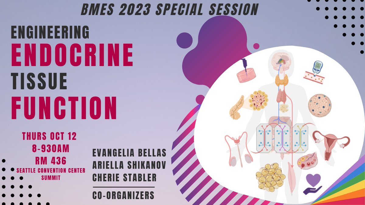 Headed to #BMES23 &amp; are an Engineering Endocrine Tissue Function Rockstar? DM to be considered for 1st such 🏆 (must be UG, G, PD). 

Session will include short invited talks➕panel session on addressing challenges in engineering endocrine tissue function. More details ⬇️ (1/2)